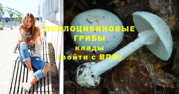 прущие крисы Майский