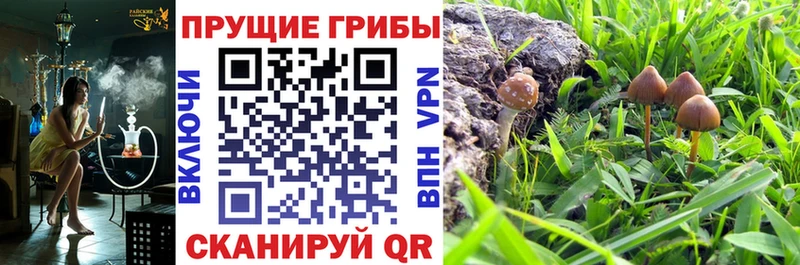 Галлюциногенные грибы GOLDEN TEACHER  гидра зеркало  Харабали 